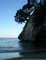 Cathedral Cove