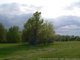 Le parc Maisonneuve, une belle étendue de verdure aux alentours du parc (...)