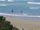 Anglesea : LA plage de surf