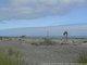 La plage de Hokitika