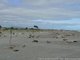 La plage de Hokitika