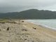 La plage de Wainui