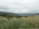 La plage de Wainui