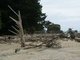 La petite plage de Wainui