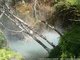 Orakei Korako, la vallée oubliée