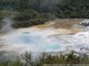 Orakei Korako, la vallée oubliée