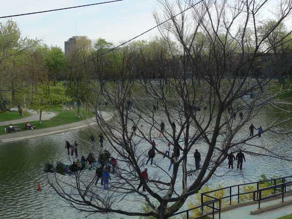 Les patineurs de l'hiver patinent sur l'eau au printemps ! Les patineurs de l'hiver patinent sur l'eau au printemps !