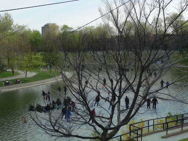 Les patineurs de l'hiver patinent sur l'eau au printemps !